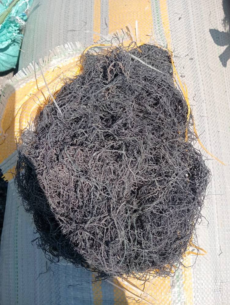 Dried product