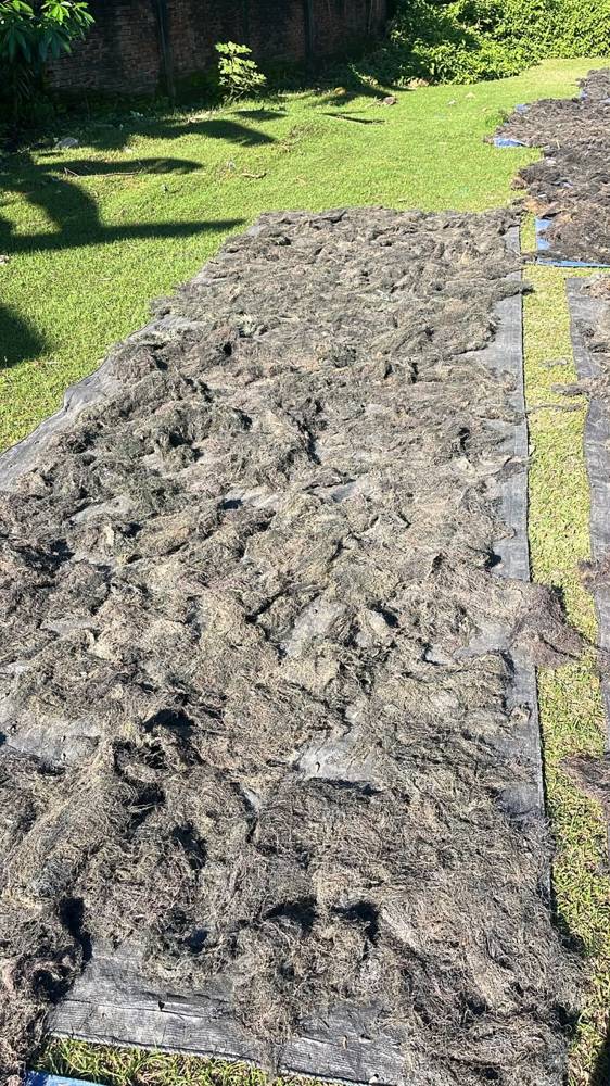 Drying bed