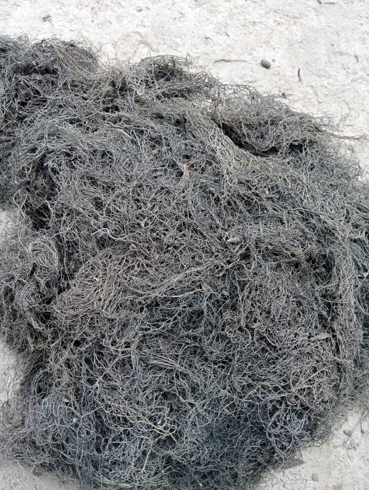 Dried seaweed